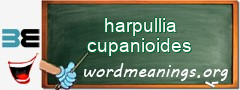 WordMeaning blackboard for harpullia cupanioides